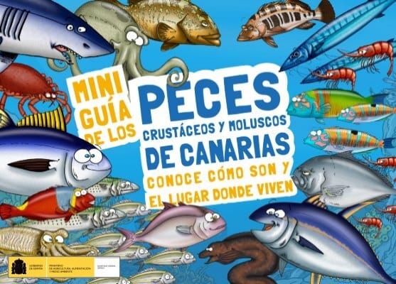 PESCA DE CRUSTÁCEOS, MOLUSCOS Y OTROS PECES SIN NOMBRE en Colima