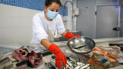 PRODUCTORES PESQUEROS DE MADRID SC DE RL en Colima