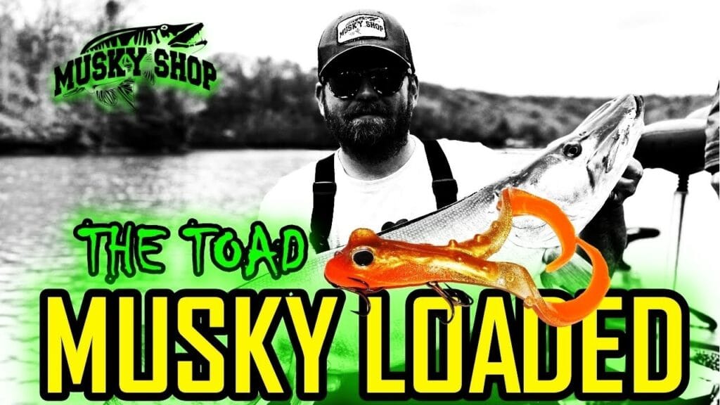 XTOAD en Colima