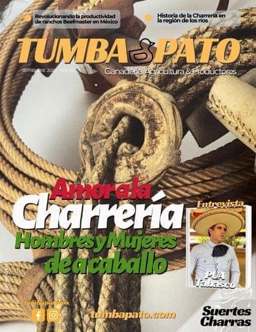 MECANICO EN GENERAL CHARRAS en Colima