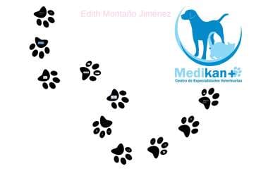 MEDIKAN CENTRO DE ESPECIALIDADES VETERINARIAS en Colima