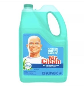 MS CLEAN LAVANDERIA en Colima