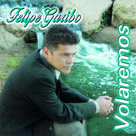 ELECTRONICA GARIBO en Colima