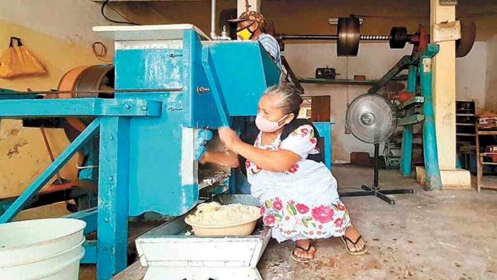 MOLIENDA DE NIXTAMAL en Colima