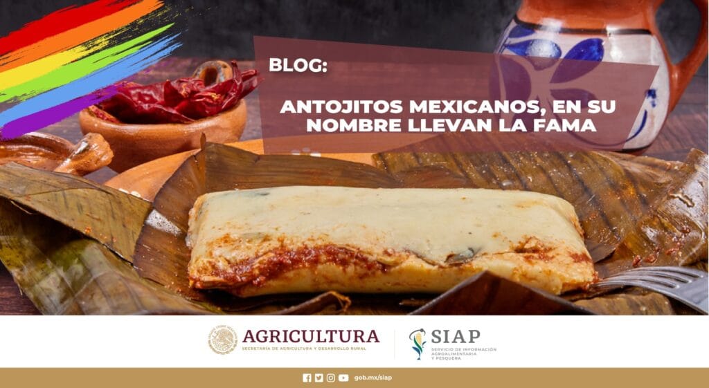 VENTA DE ANTOJITOS MEXICANOS EN LA VIVIENDA SIN NOMBRE en Colima