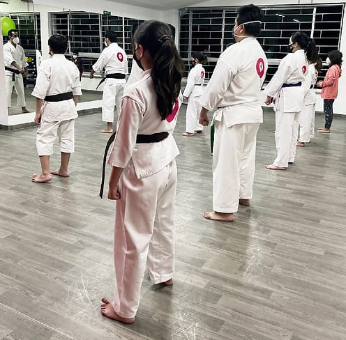 ESCUELA DE ARTES MARCIALES en Colima